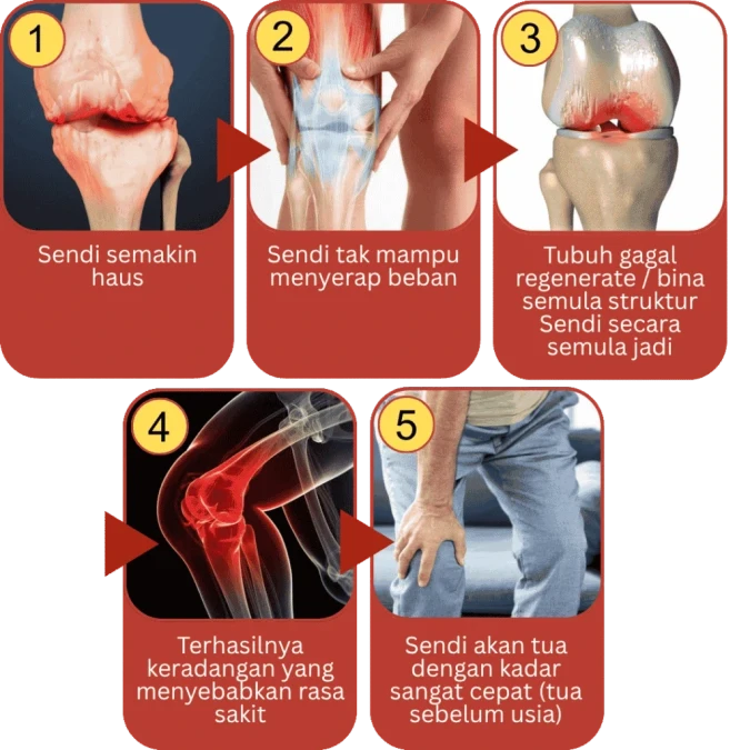 jointactiv biovytal 1to5