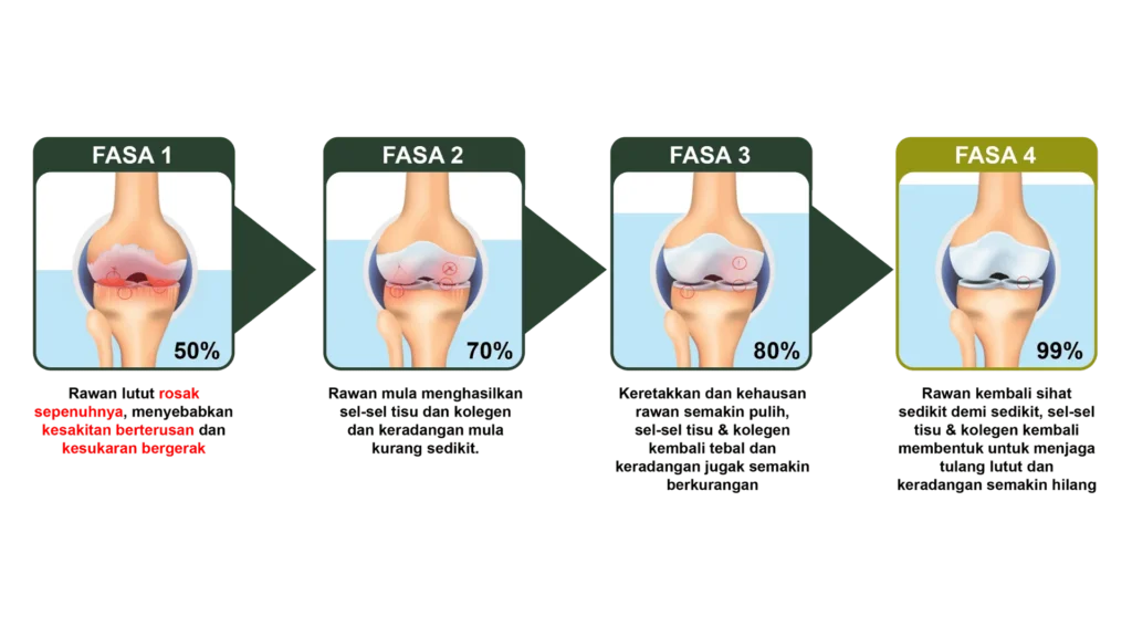 jointactiv fasa